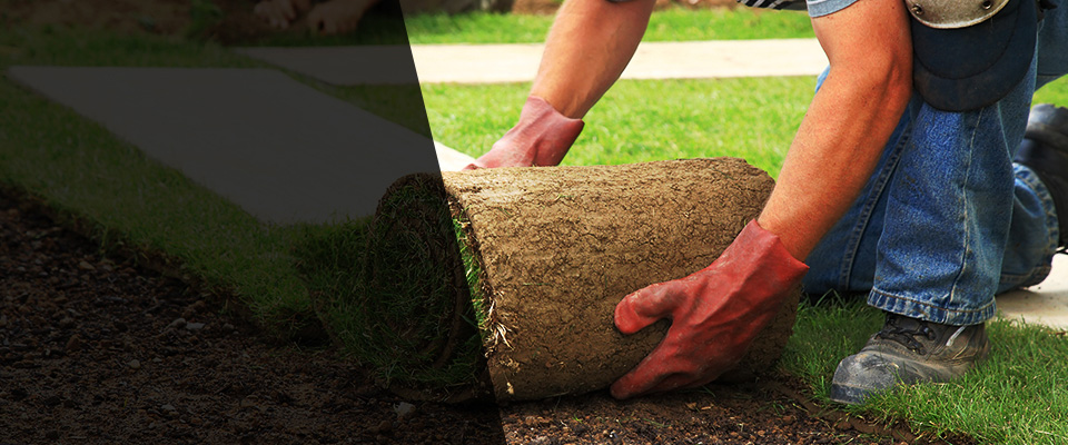 Westhampton Beach Landscapers